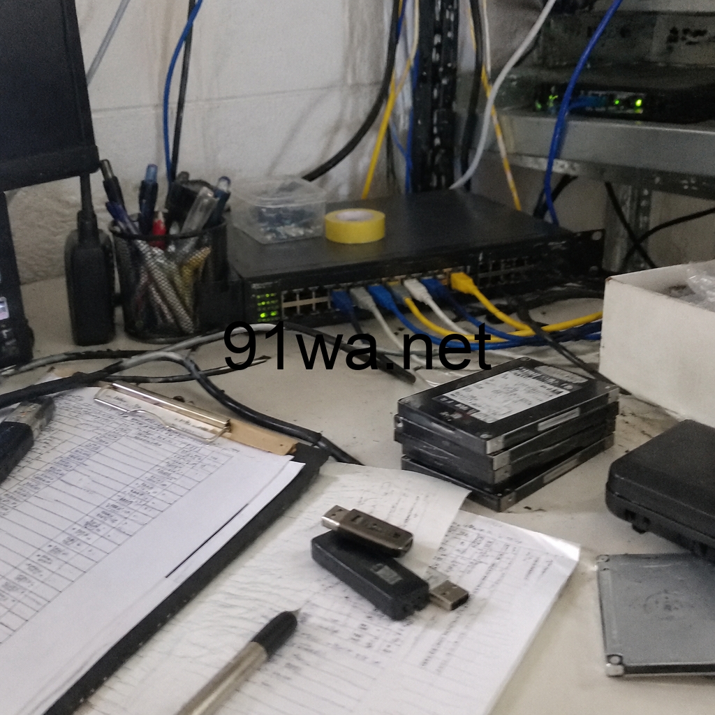 Luxor向MicroBT矿机投入1亿美元:矿场软件管理员如何为扩容接入建立可核验流程插图 Luxor向MicroBT矿机投入1亿美元:矿场软件管理员如何为扩容接入建立可核验流程